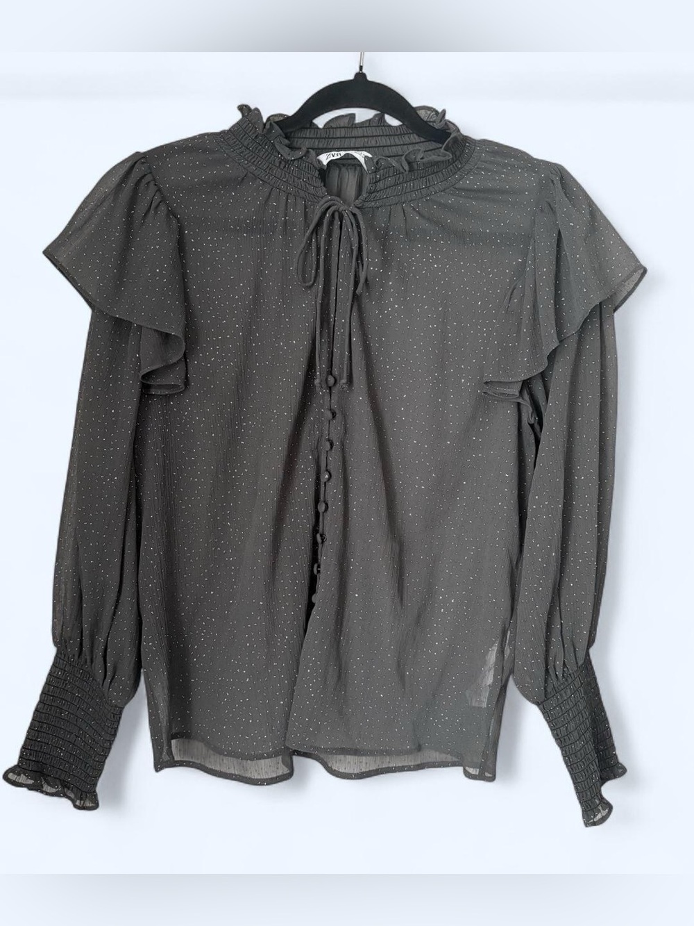 Zara whimsical mesh blouse